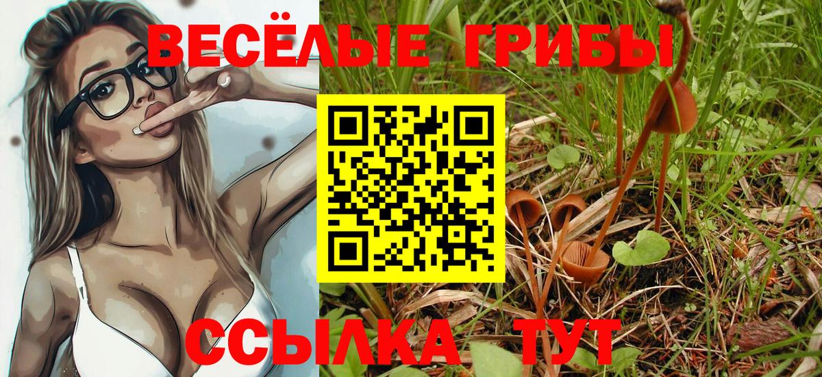 Галлюциногенные грибы Psilocybine cubensis  Вход с VPN  Жуковский  Галлюциногенные грибы мицелий 